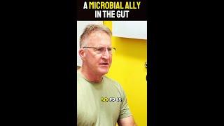 A MICROBIAL ALLY IN THE GUT