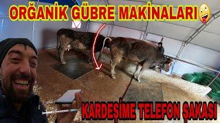 KARDEŞİME MİNİK ŞAKA5 DK TUVALETİNİ TUT BE İNEĞİM!!!KAÇAN AV TAVŞAN