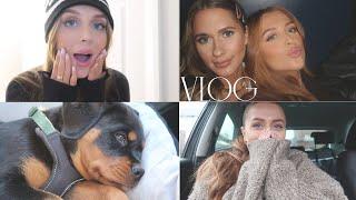 VLOG | new puppy, current make up favs, goal setting & planning for 2024!