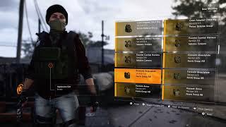 The Division 2 Vest and backpack bug