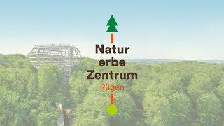 Naturerbe Zentrum Rügen Baumwipfelpfad & Erlebnisausstellung