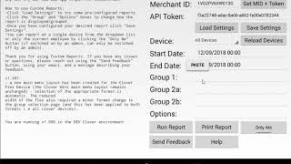 Clover App Custom Reports - 1. The User Interface (UI)