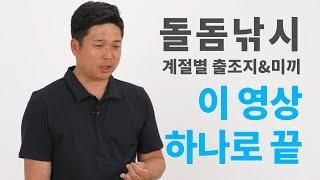 초보자들을 위한 돌돔낚시 시즌별 출조지와 미끼 총정리!