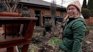 Transplanting Hydrangeas and Weigela ~ Cutting Back Phlox & Other Perennials ‍🫶// Suburban Oasis