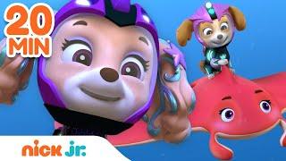 PAW Patrol Aqua Pups & Mermaid Rescues! w/ Skye & Coral | 20 Minute Compilation | Nick Jr.