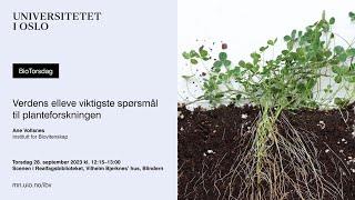 BioTorsdag: Verdens elleve viktigste spørsmål til planteforskningen