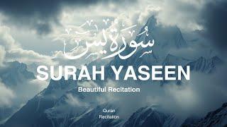 Most Beautiful Recitation of Surah Yaseen (Yasin) سورة يس | Quran Recitation | Beautiful Voice