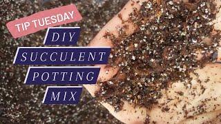 Tip Tuesday: DIY Succulent Potting Mix