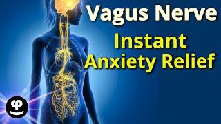 The Ultimate Vagus Nerve Deep Sleep Sound Therapy