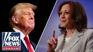 Kamala is still losing to Trump: Katie Pavlich