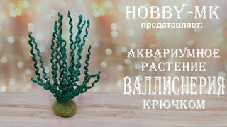 Валлиснерия спиральная - растение для вязаного аквариума (авторский МК Светланы Кононенко)