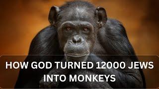 How God Turned 12000 Jews into Monkeys|Why did the people of Prophet Dawood (David) become monkeys