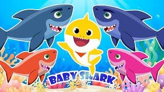 Baby Shark | Baby Shark Remix | Baby Shark Dance - Lagu Anak Anak