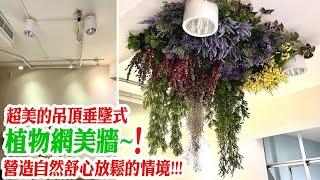 【人造花佈置吊頂植物牆|知脊專業物理治療-高仿真植生牆:室內商業空間造景】暖心的森林感接待大廳Lobby 天頂綠牆花牆設計施工維護 拍照牆 打卡牆 網美牆 開店直播必備 植栽牆 景觀園藝花藝 傑群設計