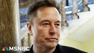 ‘Horrible, no good, very bad day for Elon Musk’: Tesla stocks tumble, X crashes, Dems mobilize