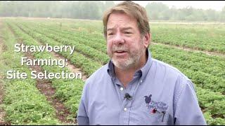 Strawberry Farming: Site Selection