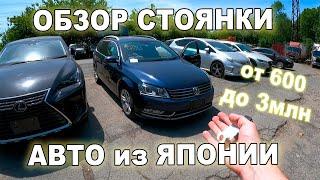 ЧТО ПО ЦЕНАМ на ПРАВЫЙ РУЛЬ? Безпробежки - июнь 2023