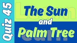 Quiz No.45: The Sun & Palm Tree #sun #palm #palmeiras #quiz #learnearn