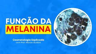 FUNÇÃO PRIMÁRIA DA MELANINA NA PELE | Cosmetologia Explicada com Prof. Marcio Guidoni