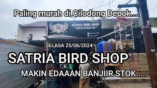 Update stok satria bird shop makin edaaan banjiir stok