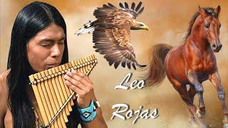  Leo Rojas  Best Hits of All Time   Leo Rojas 