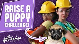 Raise a Puppy Challenge | The Workshop