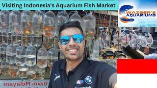 A Journey Through Indonesia's Traditional Aquarium Fish Market