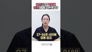 임신 중 백일해 접종은 필수? 딱 알려드림 #백일해 #Tdap #임산부백일해 #임산부예방접종 #건강정보 #국립중앙의료원 #소아청소년과