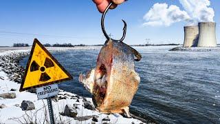 This STEAMING Hot POWER PLANT Water Is LOADED with Fish!!! (INSANE!)
