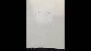 Nazir,s draw video