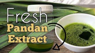  How to make pandan extract from scratch using fresh pandan leaves