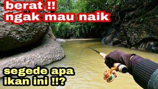 mancing ikan nilem spot tersembunyi isinya full babon