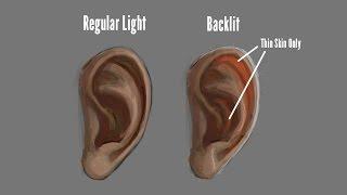 How to Draw Ears - Part 2 - Coloring & Subsurface Scattering