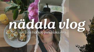 #3 VLOG- nädalake täis tegemisi ja jaanid | Kas Helli on pime?