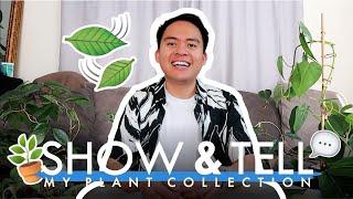 MY PLANT COLLECTION 🪴 (Show & Tell) | King Feliciano