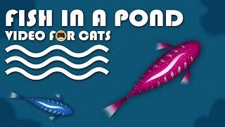 CAT GAMES - Catching Fish in a Pond! Fish Video for Cats to Watch.