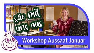 Unsere ersten Aussaaten im Januar | Workshop Teil 1