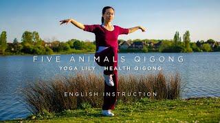 Five Animals Qigong with English Instruction | Wu Xin Qi