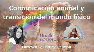 Entrevista Laura Vidal con Patricia Perreau: “Comunicación animal y transición del mundo físico”