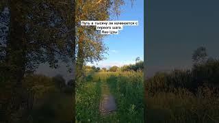 Философские мысли по дороге на огород#мотивация#природа#путь#мудрость