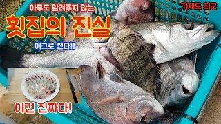 횟집의 진실!! 이정도면 진짜 다 보여준거다!! truth of sushi restaurant!!