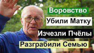 Пасека #124 Воровство / Разграбление семей / Убили Матку /Нет Пчёл / Пчеловодство для начинающих