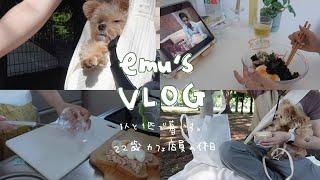 VLOG.Japanese woman.dogs became familyliving alone.morning picnic