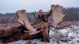 You've NEVER seen anything like this! 14 MOOSE and 3 BEARS!! Kamchatka and Serbian hunters!
