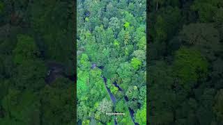 Agumbe ghat .. #karnataka #beautifuldestinations #naturelovers  #natural #india #travel #deepesh