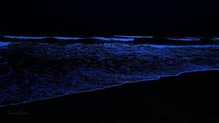 Reduce stress to fall asleep quickly within 3 minutes with the sound of blue ocean waves at night