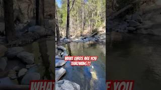 WHAT LURES ARE YOU THROWING IN THIS TROUT STREAM?! 