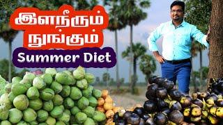 உடல் வெப்பம் தணிக்கும் இரட்டையர்கள்! இளநீரும் நுங்கும்! வெயில் காலத்திற்கான பானங்கள்!