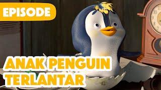  Episode Baru 2024  Masha dan Beruang  Anak Penguin Terlantar  (Episode 23)