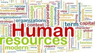 English for Human Resources VV 43 - HR Management (1) | Business English Vocabulary